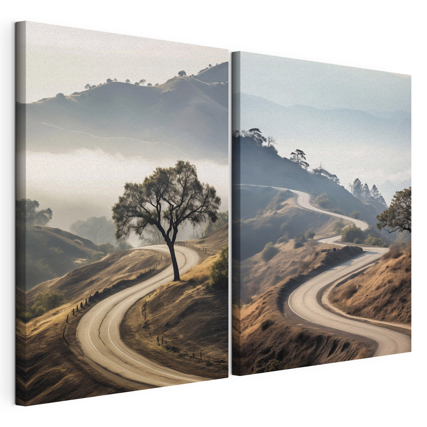 Winding road with a tree on it