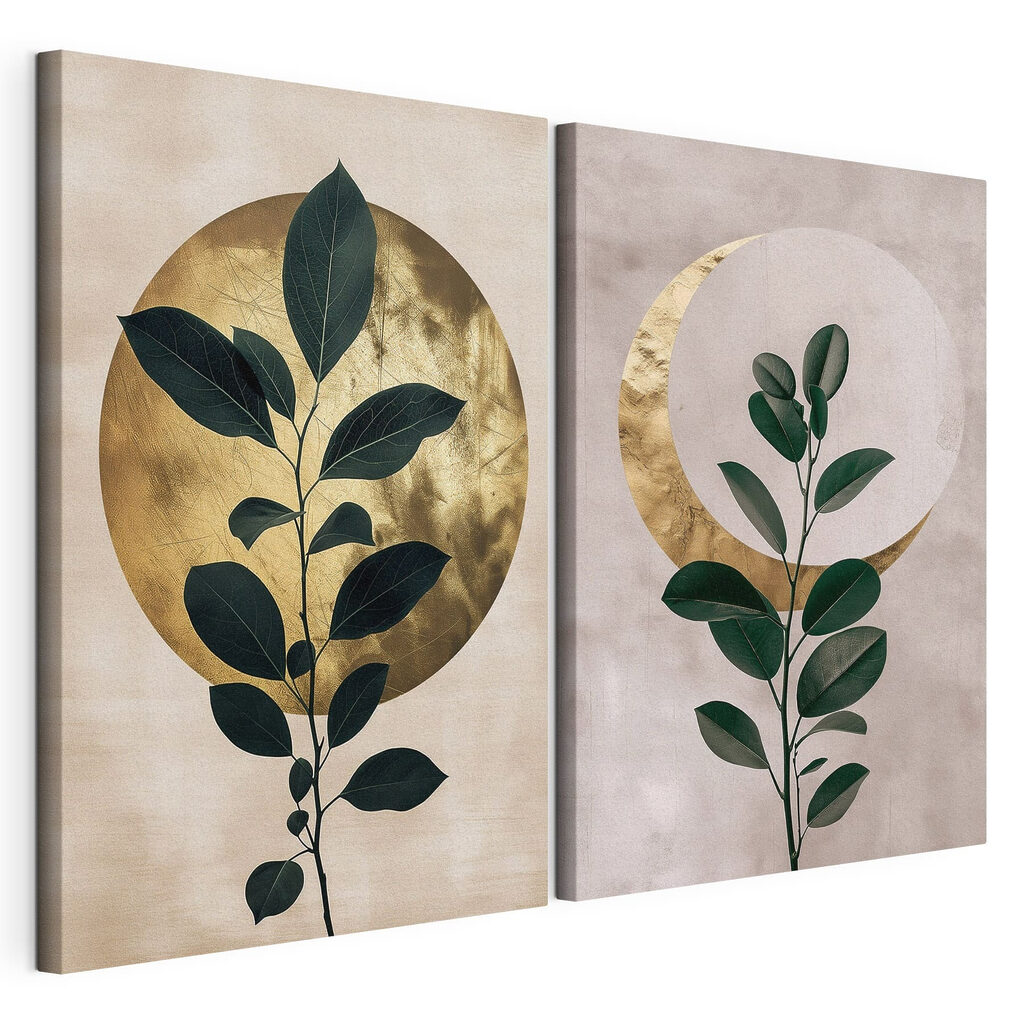 Two pictures of a plant