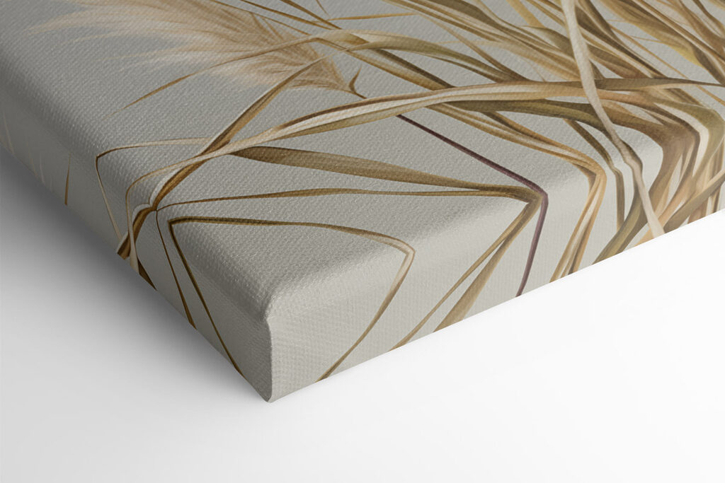 Elegant grasses for serene spaces