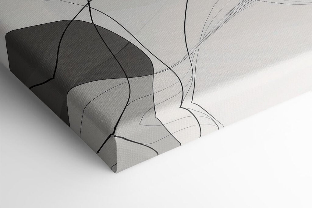 Dynamic lines create soft harmony