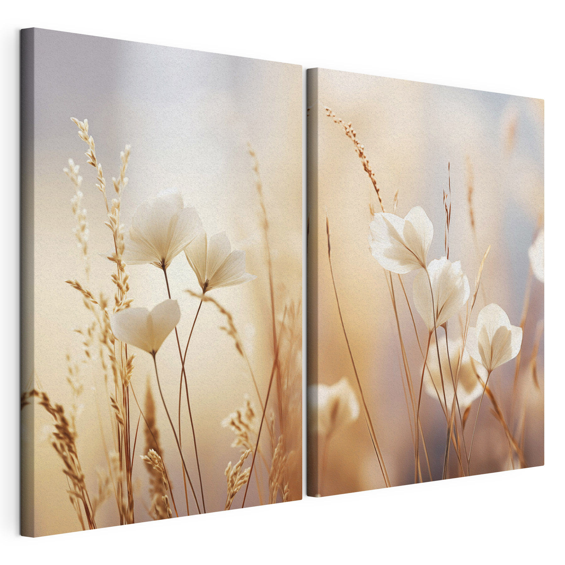 Soft petals in gentle sunlight