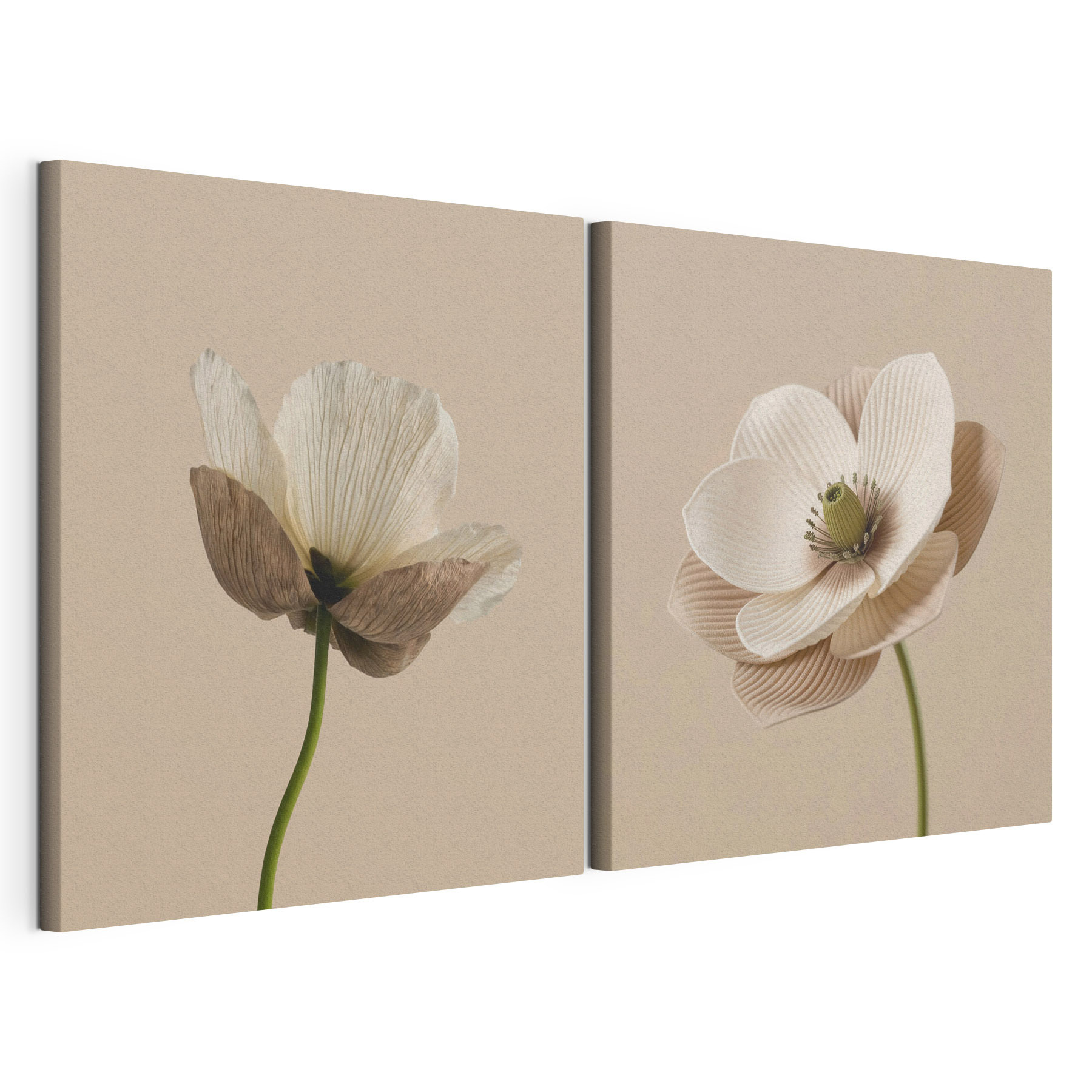 Delicate blooms in soft tones