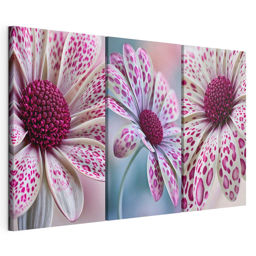 Blooming beauty in vibrant patterns
