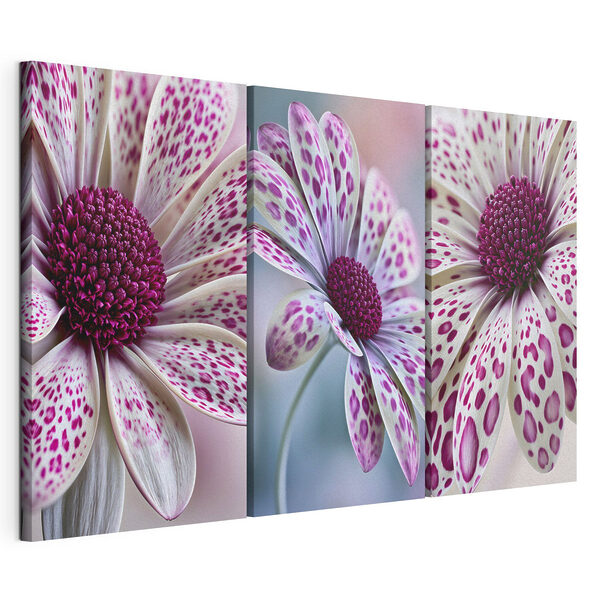 Blooming beauty in vibrant patterns