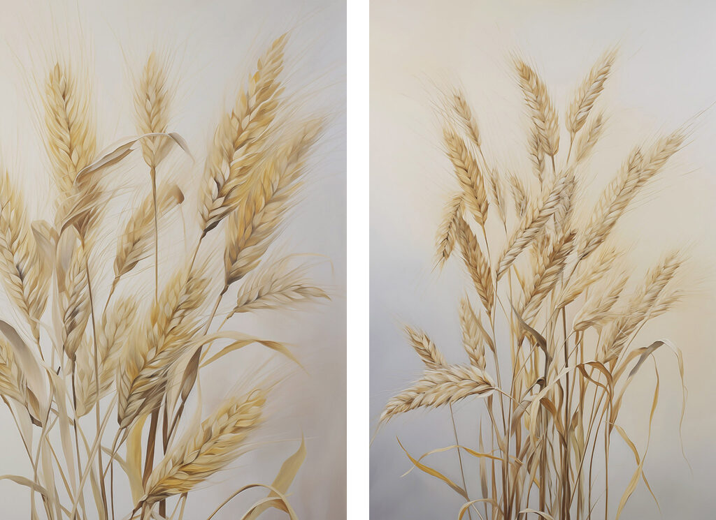 Painting of wheat on a white background