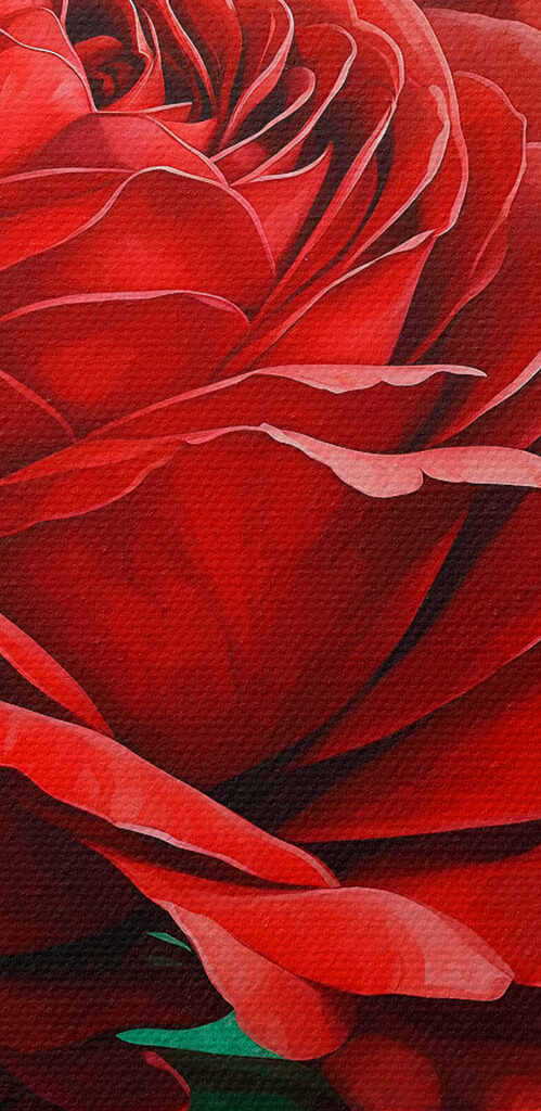 s40339pzvl 499x1024 - Élénk virágzás teljes virágzásban - tegory