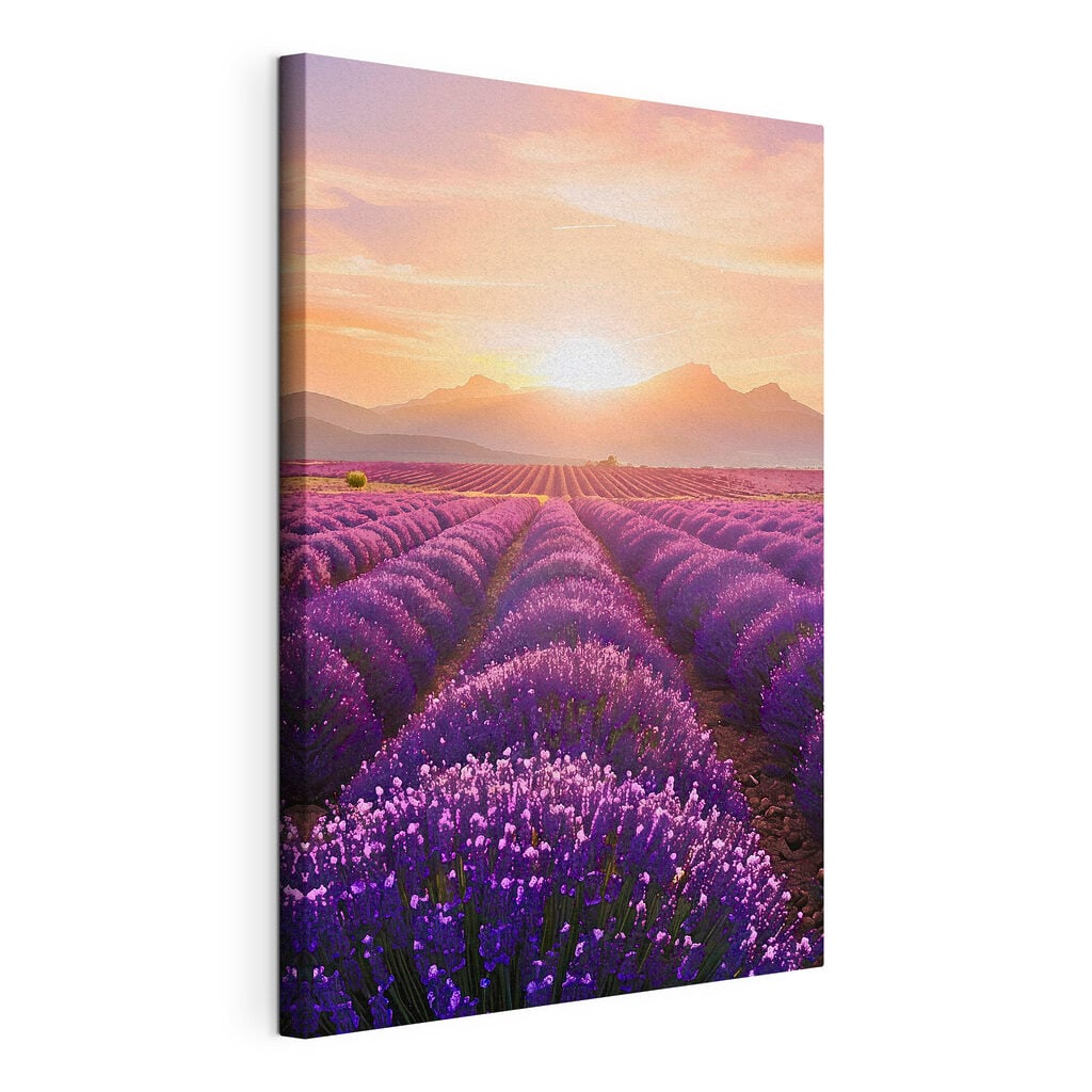 Field of lavender with mountains in the background