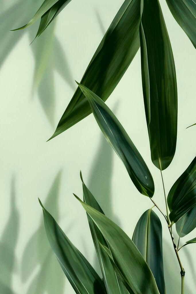 Delicate leaves on a soft backdrop