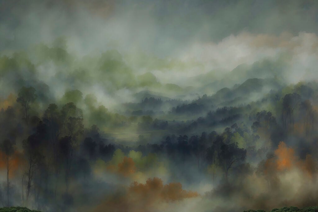 Foggy forest with trees and hills