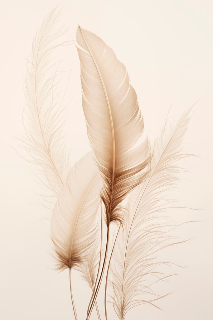Delicate feathers against soft backdrop