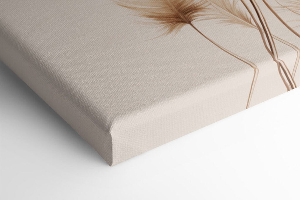 Delicate feathers against soft backdrop