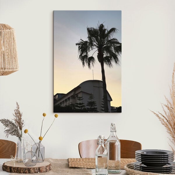 Palm tree in front of a building